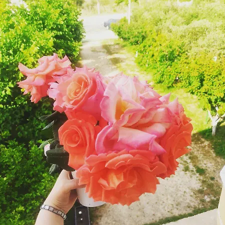 Hotel Kompleksi Turistik Edir Orikum