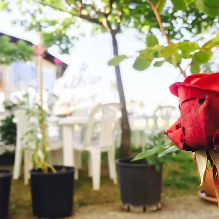 Kompleksi Turistik Edir Hotel Orikum