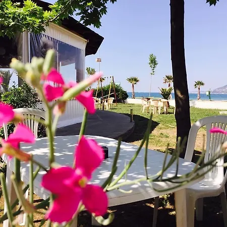 Hotel Kompleksi Turistik Edir *
