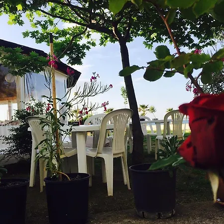 Hotel Kompleksi Turistik Edir *
