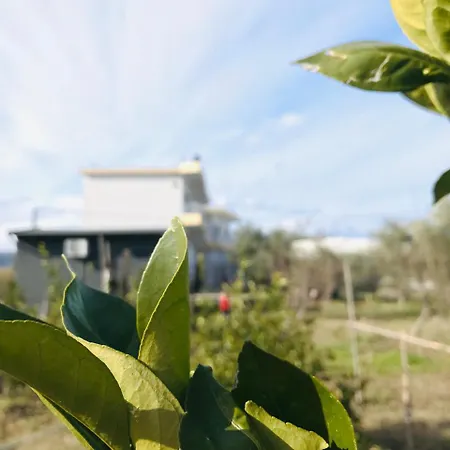 Kompleksi Turistik Edir Hotel Orikum