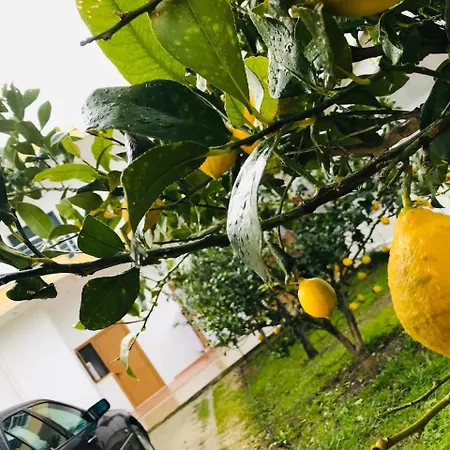 Kompleksi Turistik Edir