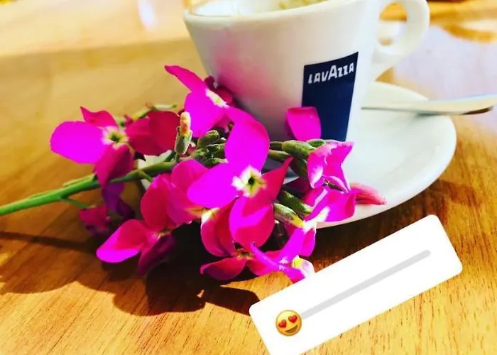 Kompleksi Turistik Edir *