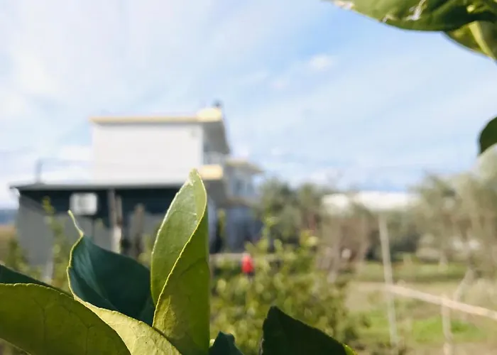 Kompleksi Turistik Edir Otel Orikum