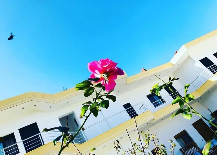 Hotel Kompleksi Turistik Edir *