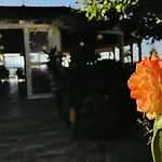 Kompleksi Turistik Edir מלון