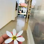 Kompleksi Turistik Edir