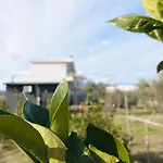 Kompleksi Turistik Edir מלון אוריקום