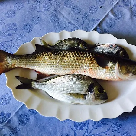 Kompleksi Turistik Edir Orikum