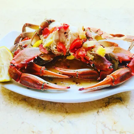 Szálloda Kompleksi Turistik Edir *