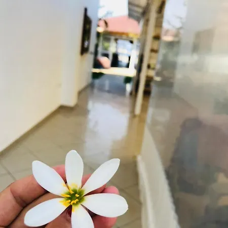 Kompleksi Turistik Edir