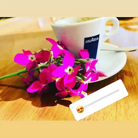 Kompleksi Turistik Edir *