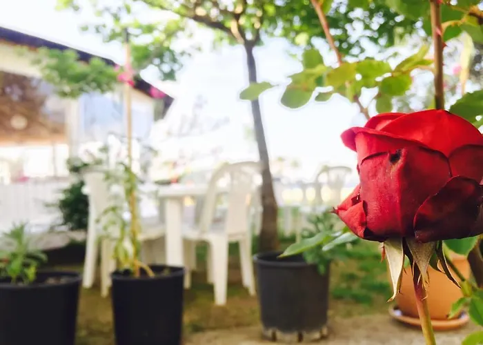 Kompleksi Turistik Edir Hotel Orikum