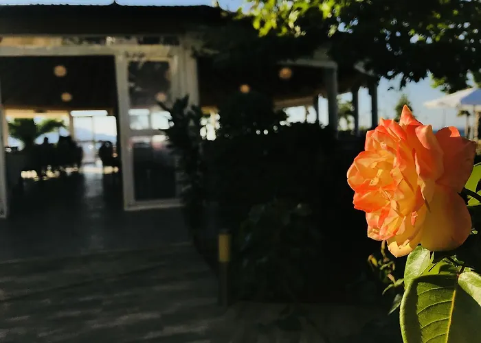 Kompleksi Turistik Edir Hotel